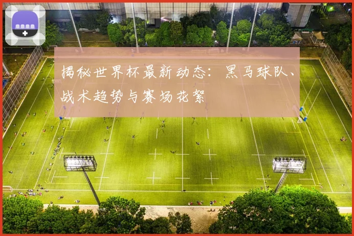 揭秘世界杯最新动态:黑马球队、战术趋势与赛场花絮