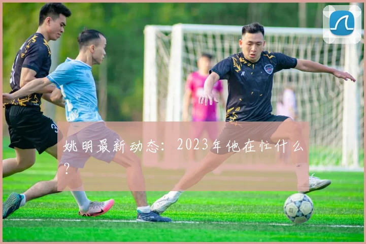 姚明最新动态:2023年他在忙什么?